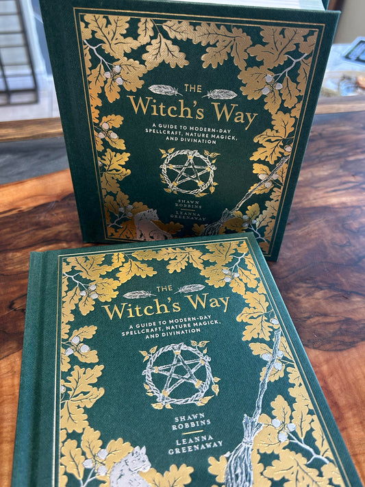 The witch's way by Shawn Robbins and Leanna Greenaway
