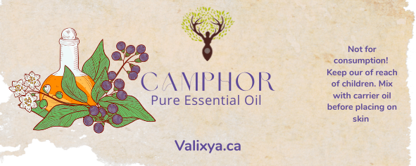 Camphor Essential Oil