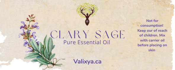 Clary Sage Essential Oil