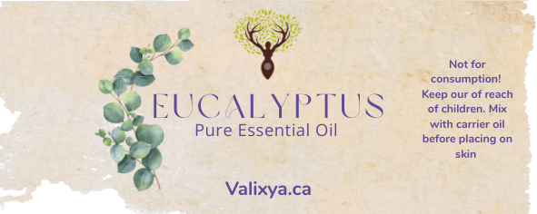 Eucalyptus Essential Oil