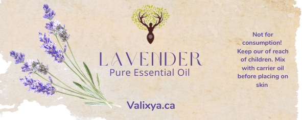 Lavender Essential Oil