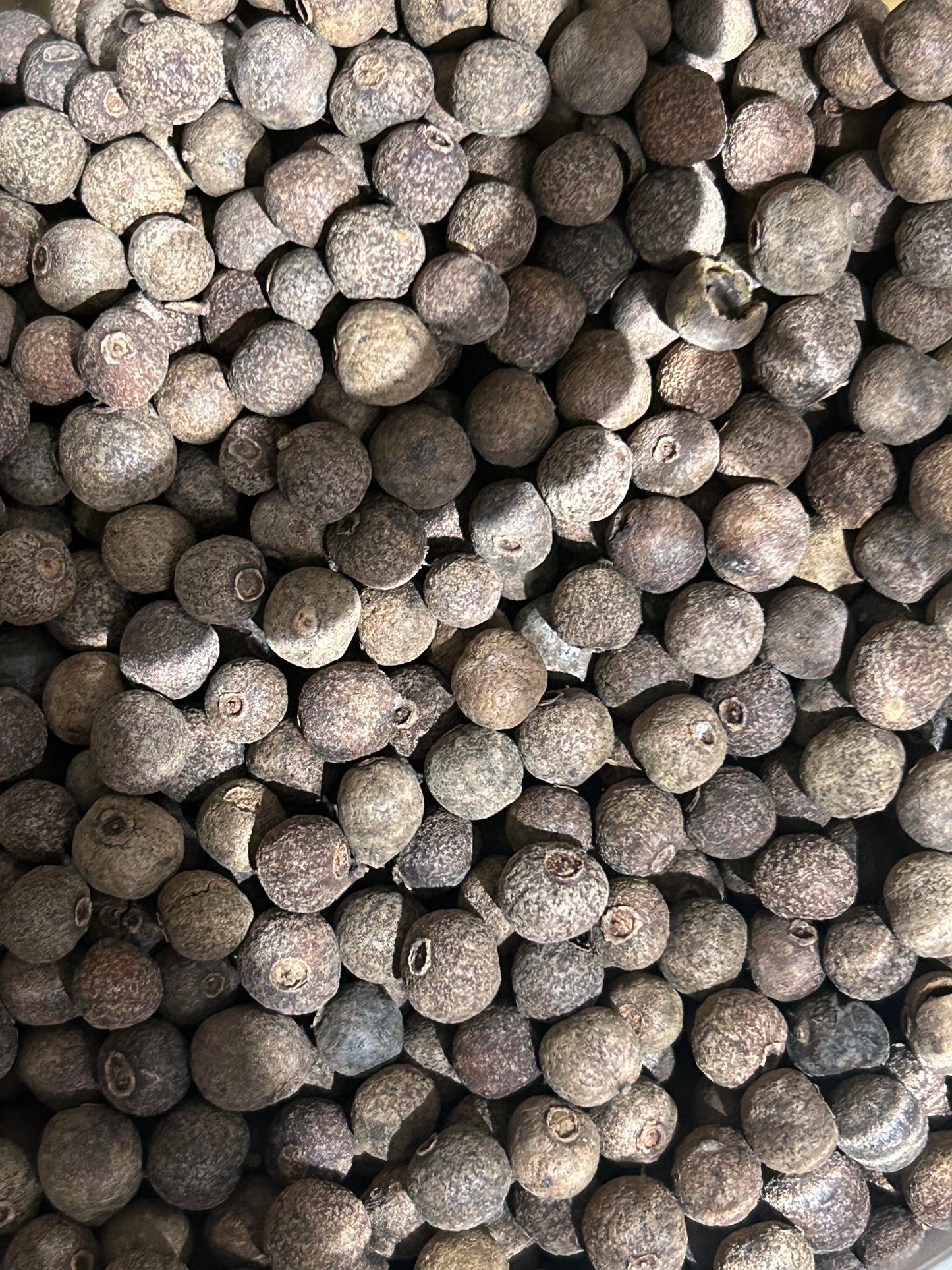 Allspice