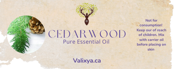 Cedarwood Essential Oil