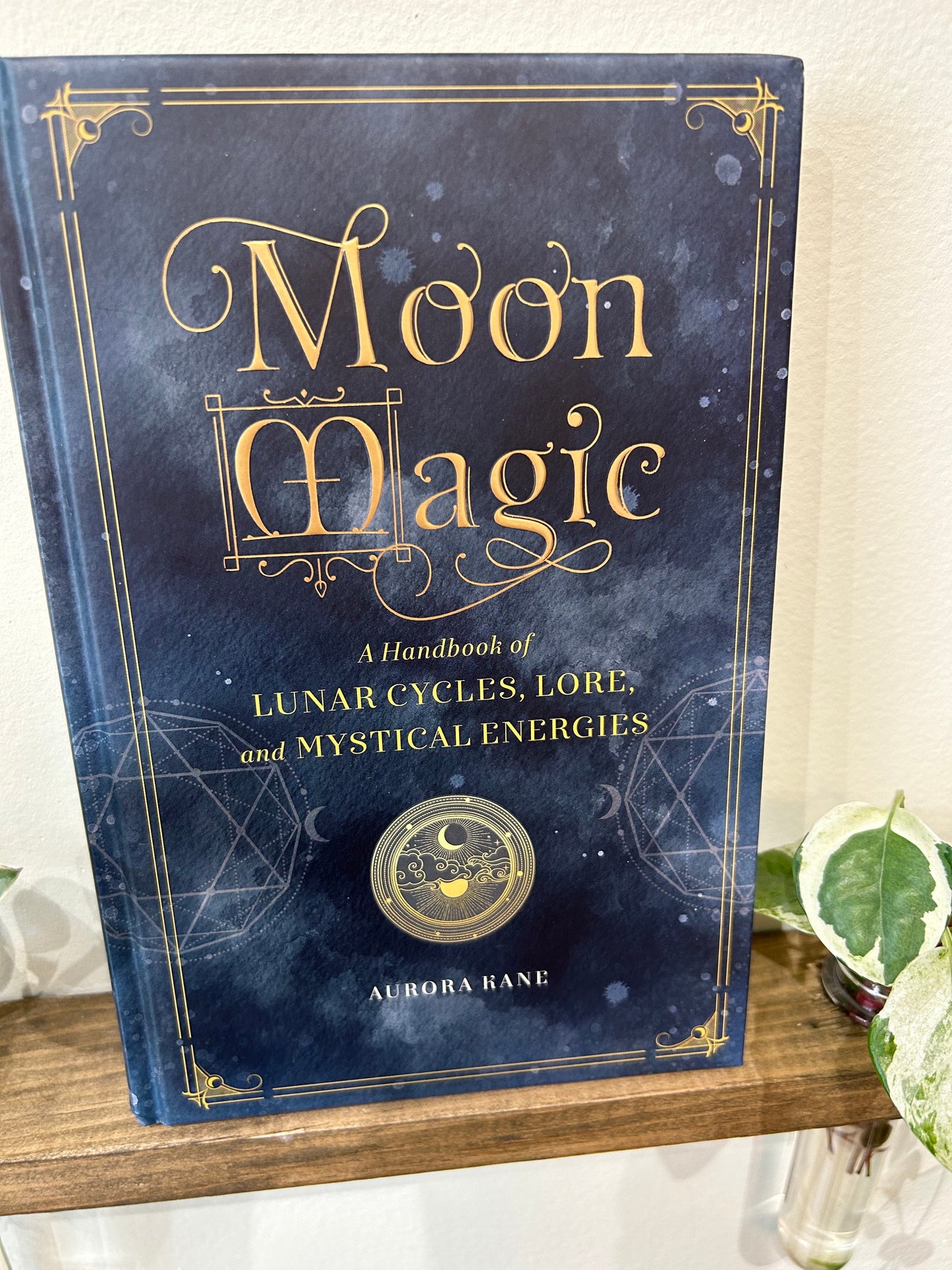 Moon magic by Aurora Kane