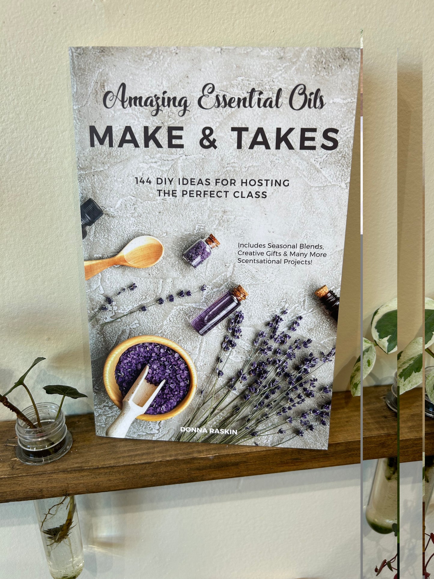 Amazing Essential Oils Make and Take by Donna Raskin
