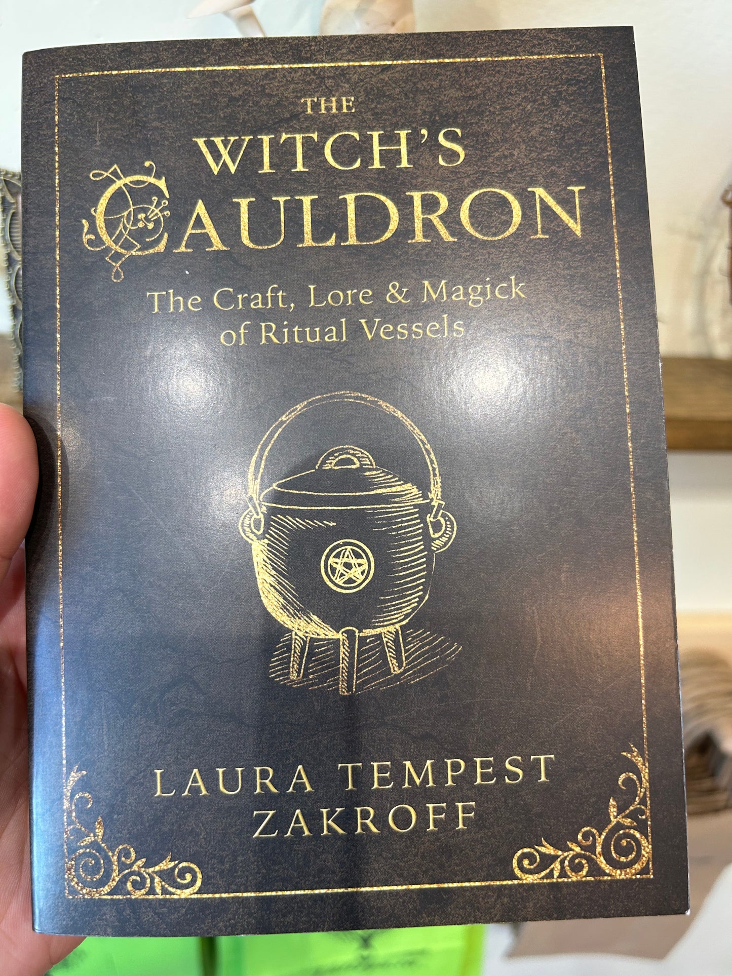 the witch's cauldron by Laura Tempest Zakroff