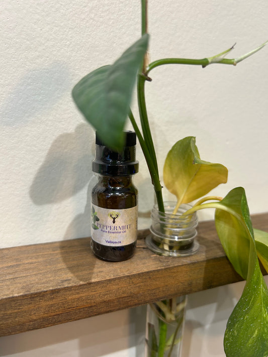Peppermint Essential Oil