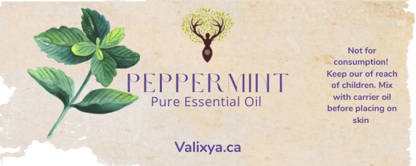 Peppermint Essential Oil
