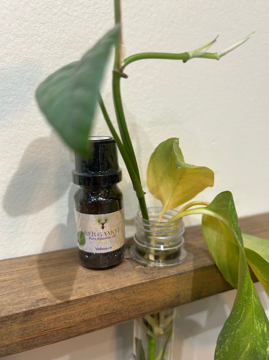 Bergamot Essential Oil