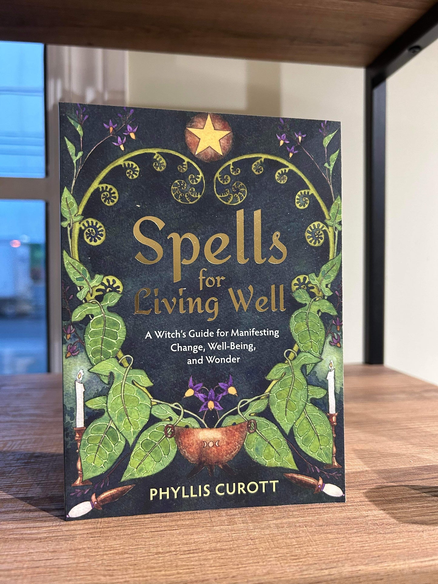 Spells for Living Well by Phyllis Curott