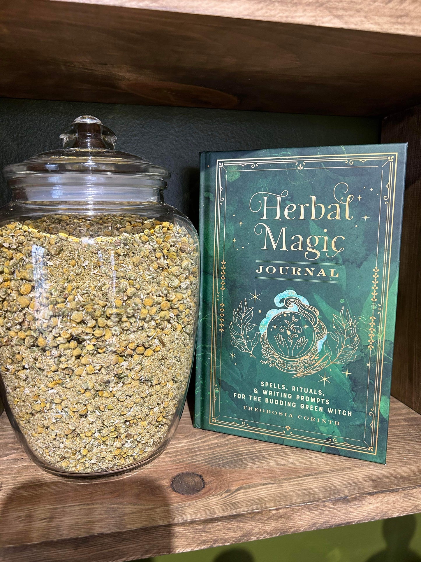 Herbal Magic Journal by Theodosia Corinth