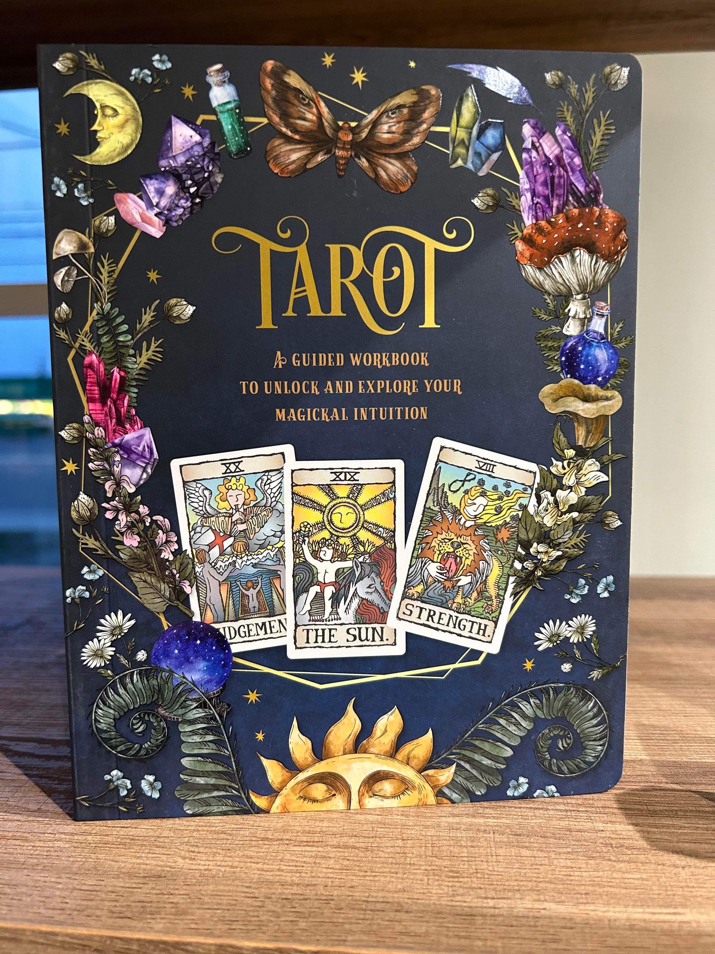 Tarot: A Guided Workbook by Phyllis Curott