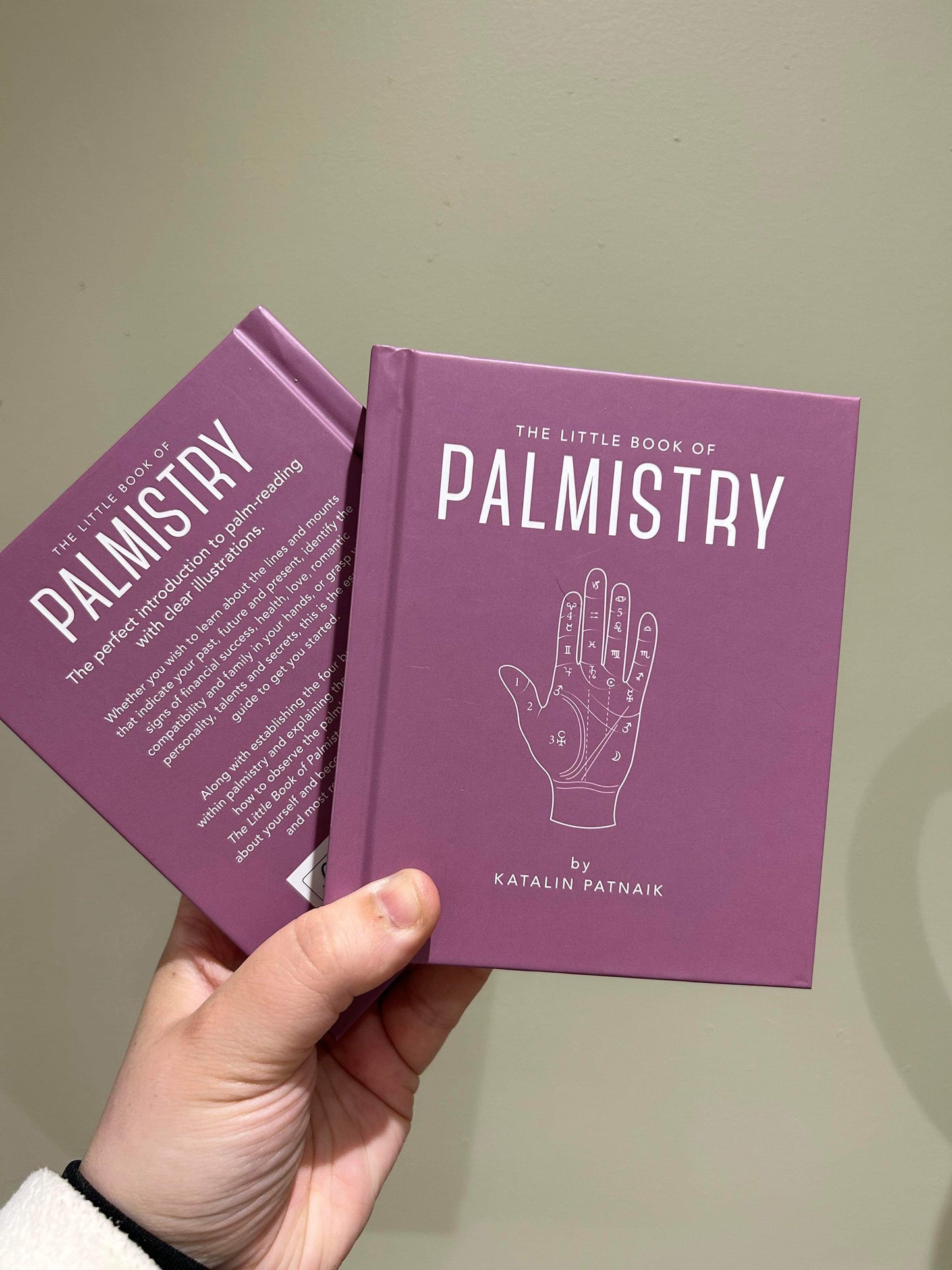The Little book of Palmistry by Katalin Patnaik