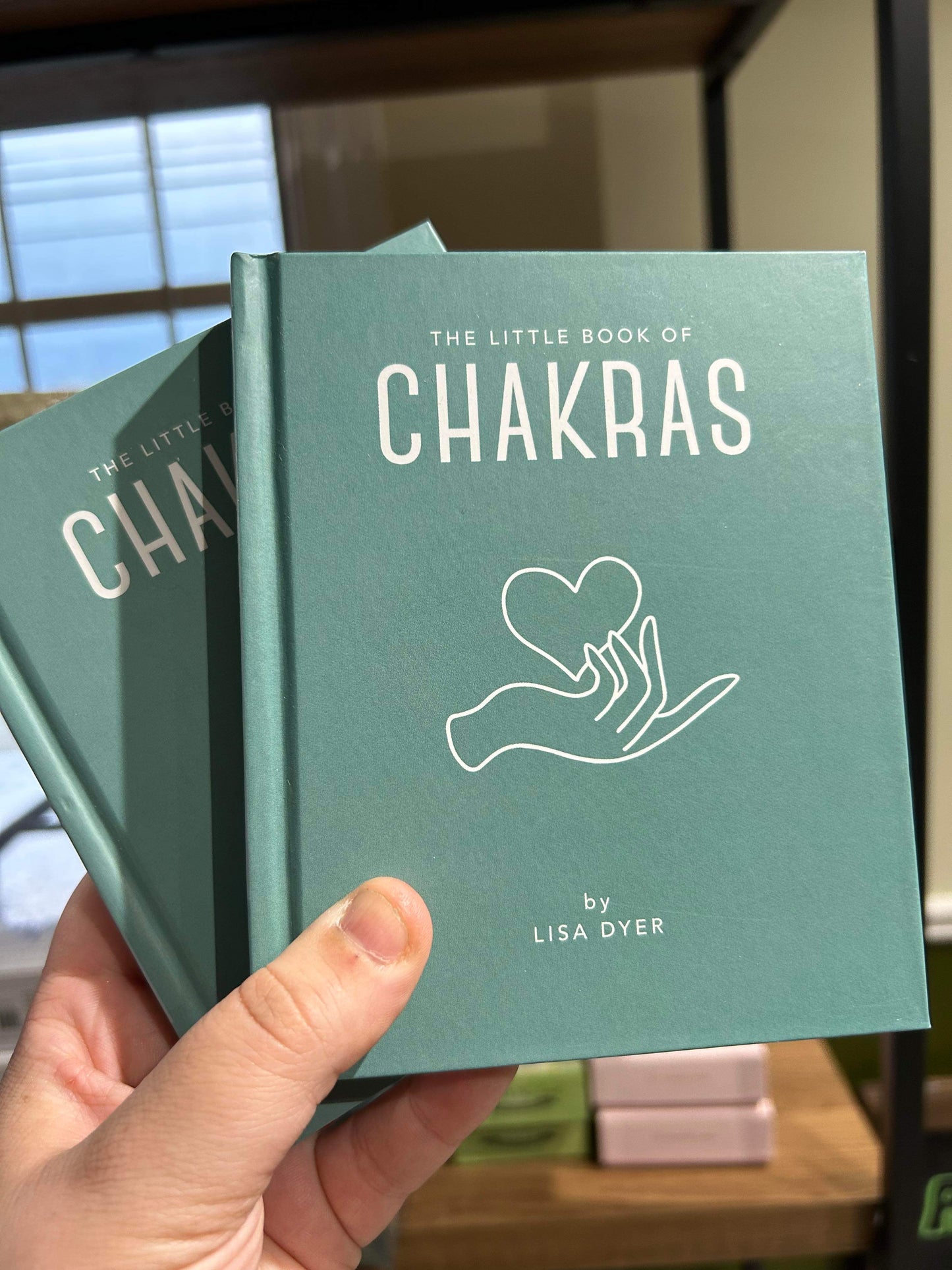 The Little Book of Chakras by Lisa Dyer