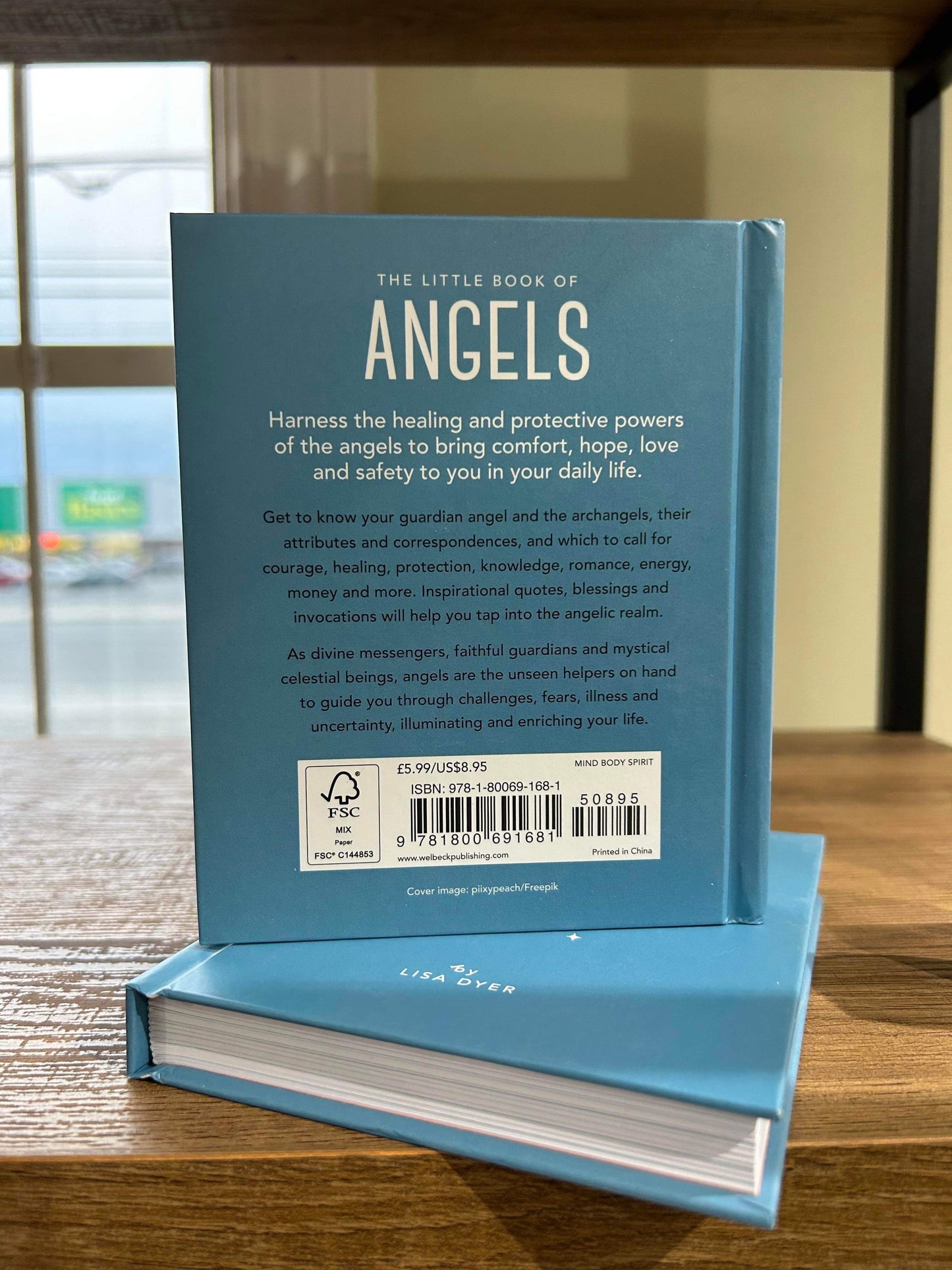 The Little Book of Angels by Lisa Dyer