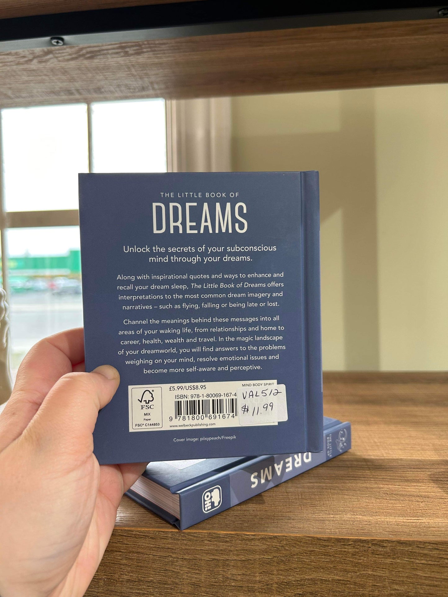The little book of Dreams by Lisa Dyer