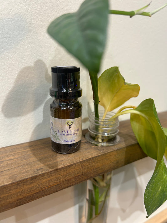 Lavender Essential Oil