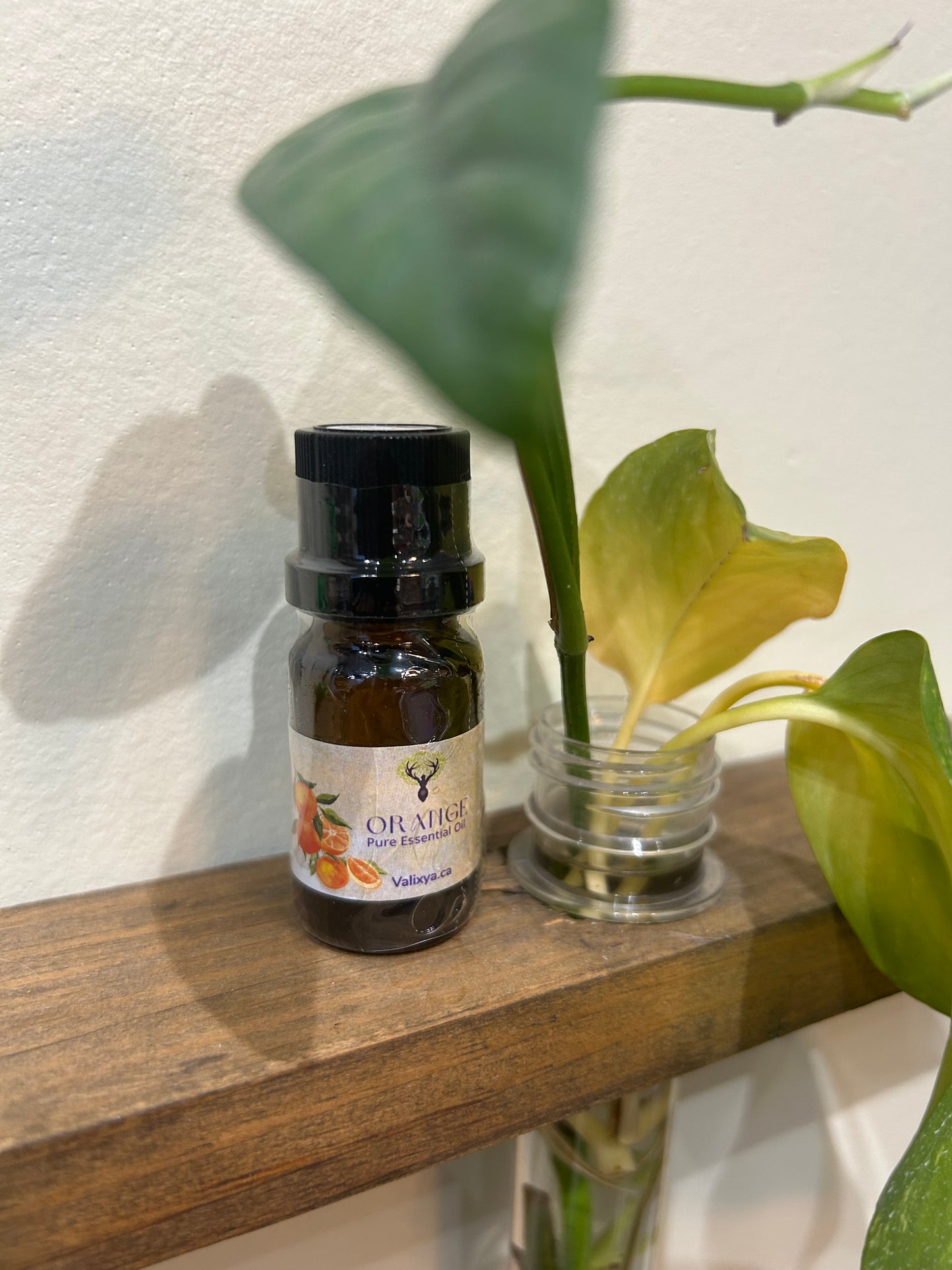 Orange Essential Oil