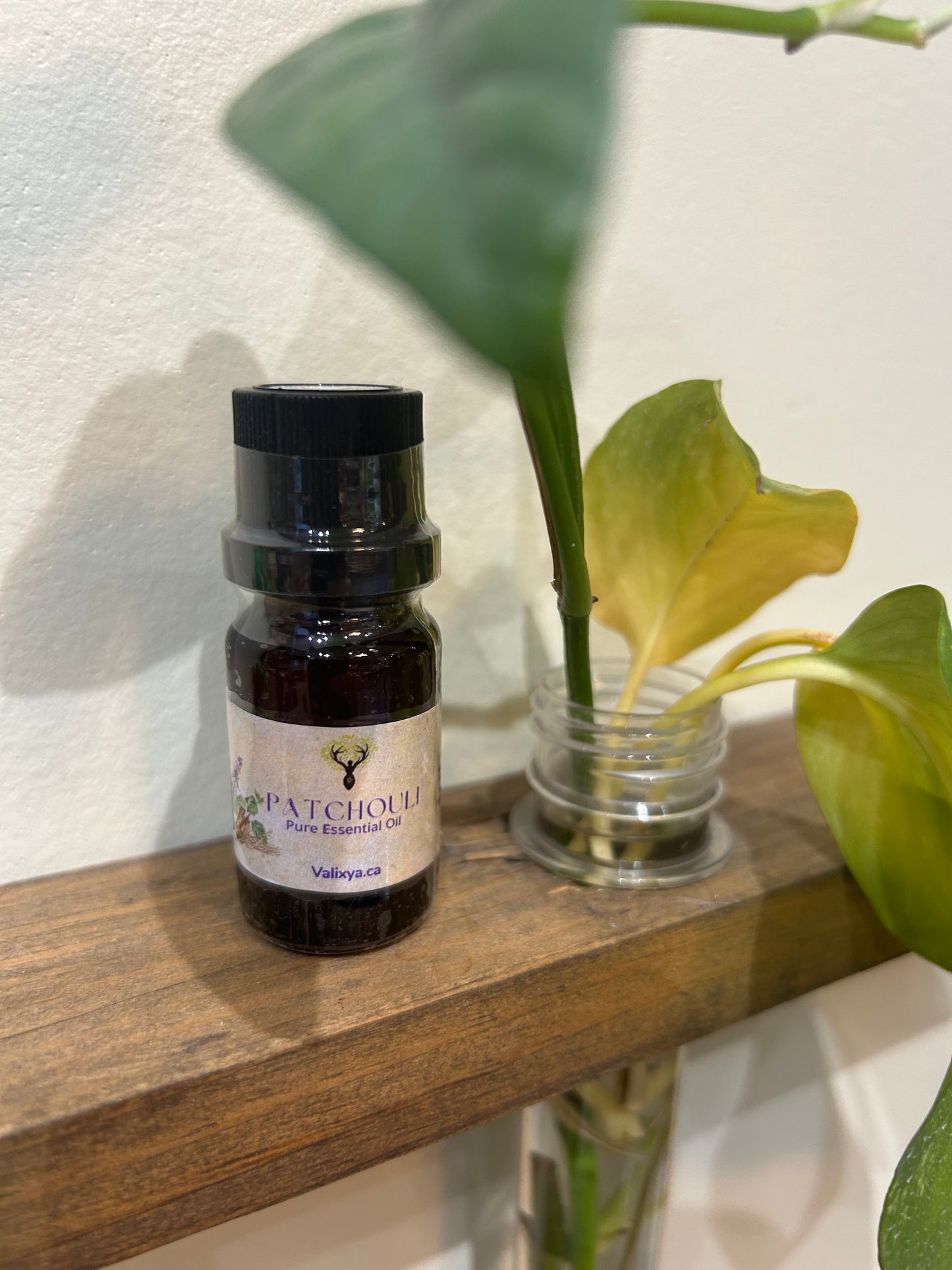 Patchouli Essential Oil