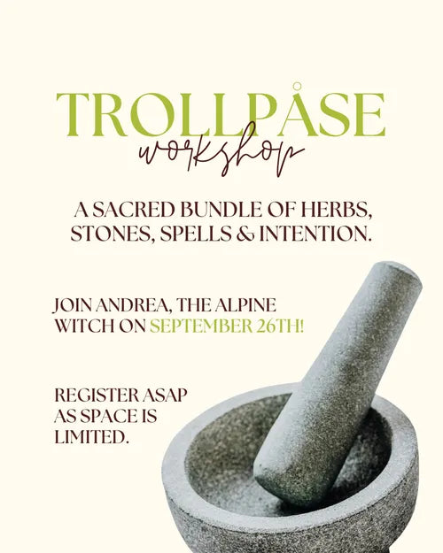 Trollpåse Workshop, September 26th